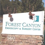 Forest Canyon