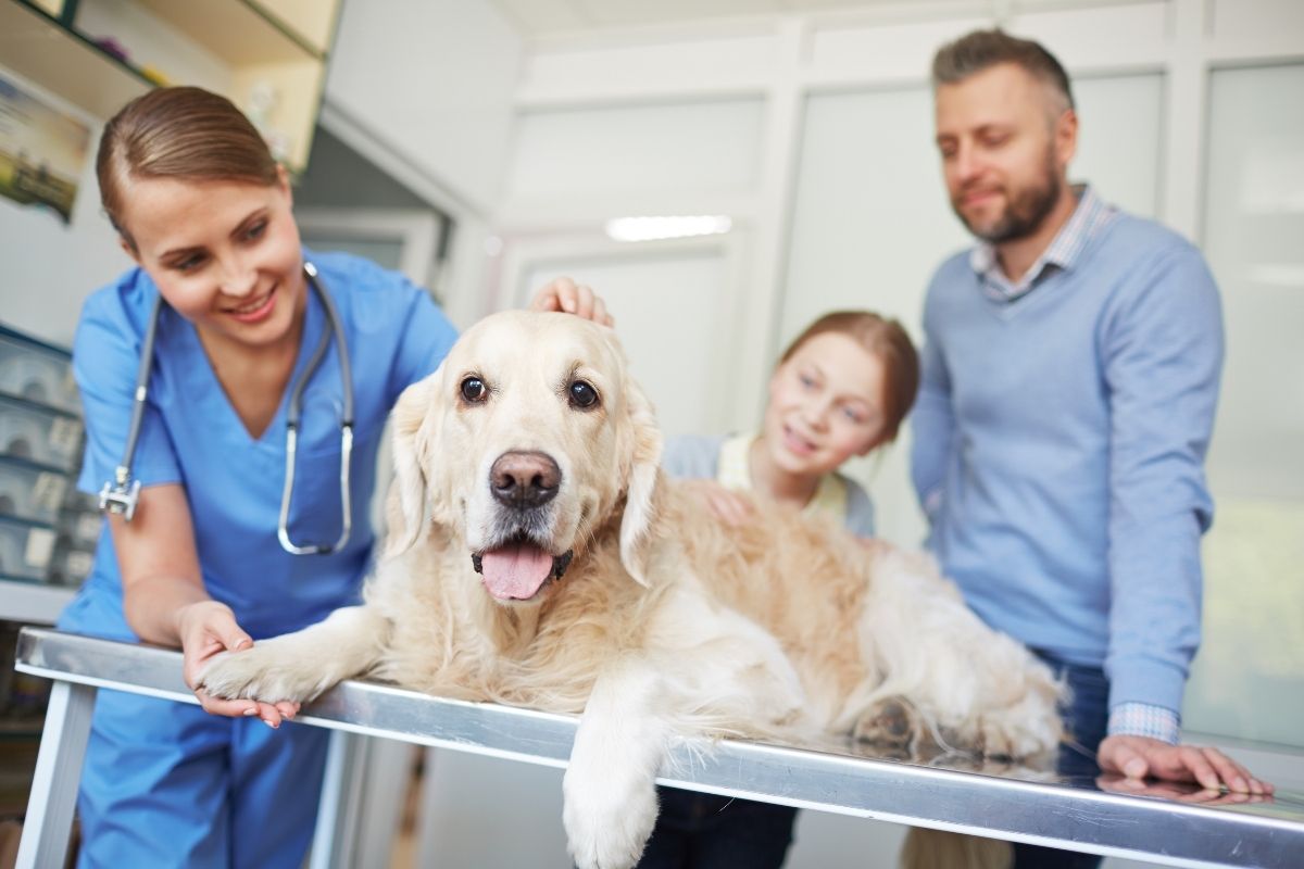Tips for Managing Change in Your Veterinary Practice