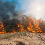 What You Need To Become a Wildland Fire Contractor
